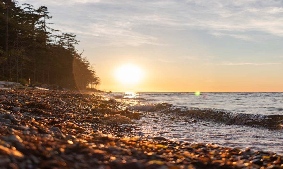 De Candledust-kaars op een zomeravond