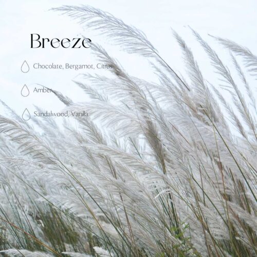 Breeze - Verfrissende ochtendgeur