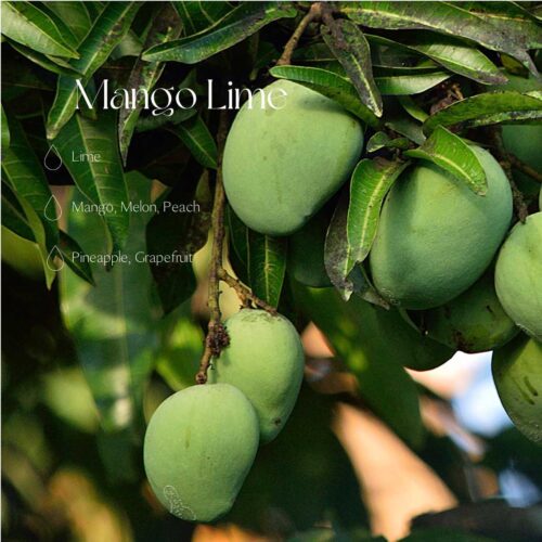 Verfrissende mango-limoengeur